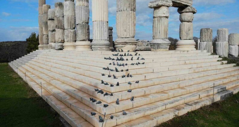 (Özel) ’Apollon Smintheus Tapınağı’nda ziyaretçileri fareler karşılıyor