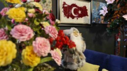 Diyarbakırlı kadınlar ipek kozasından dekoratif ürünler yapıyor